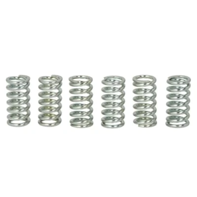 Imagen de Kit muelles de embrague TRW MEF109 6