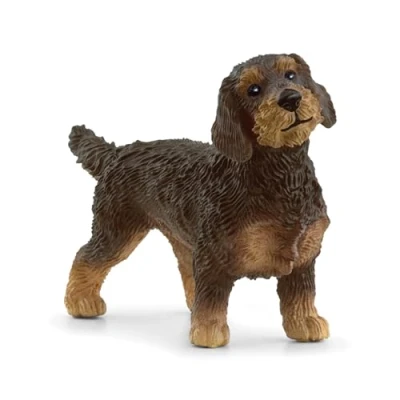 Imagen de Schleich 13972 Teckel de pelo duro, a partir 3 años, FARM WORLD figura, 2 x 7 4 cm