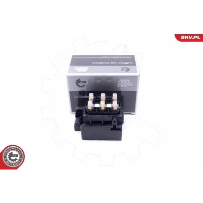 Imagen de ESEN SKV 93SKV800 Válvula, sistema de aire comprimido