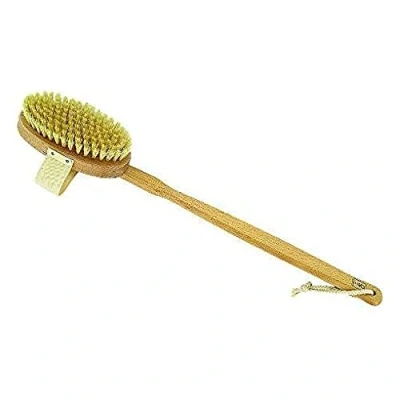 Imagen de Dr Hauschk (DRHF0), Cepillo Corporal Con Mango Desmontable Haya Cerda Natural Medio