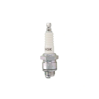 Imagen de Bujía de encendido NGK 4838, 1 Pieza