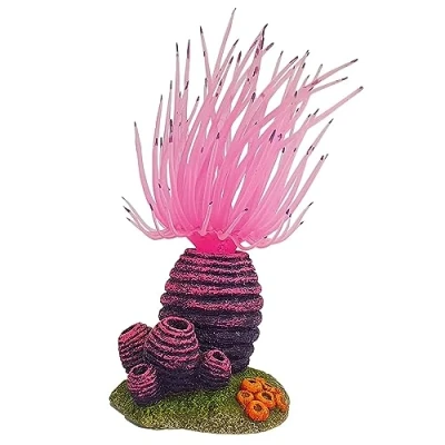 Imagen de Nobby 28720 Aqua Ornaments APLYSINA 6,3 x 5,8 12 cm
