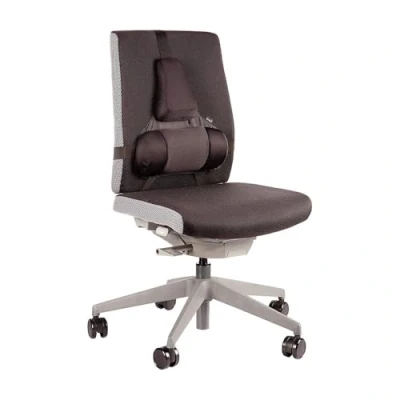 Imagen de Fellowes Professional Series Cojín Lumbar ergonómico, Proporciona Apoyo para la Espalda, Protección antibacteriana, color negro