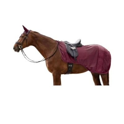 Imagen de Waldhausen SS25 Walking Rug Rom