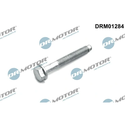 Imagen de DR.MOTOR AUTOMOTIVE DRM01284 Tornillo, soporte inyector OPEL: Mokka / X