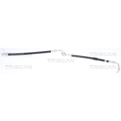 Imagen de TRISCAN 8150 50129 Latiguillos de Freno 270/232 F10x1