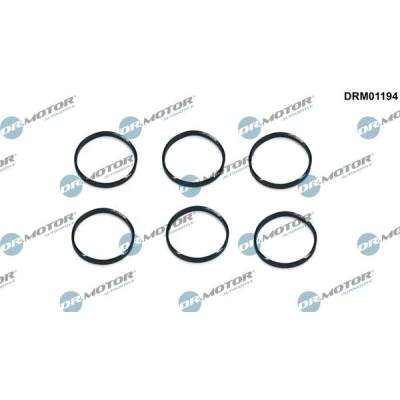 Imagen de DR.MOTOR AUTOMOTIVE DRM01194 Junta anular, cavidad bujía