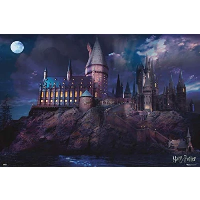 Imagen de Grupo Erik Póster Harry Potter Hogwarts, 61 x 91, 5 cm