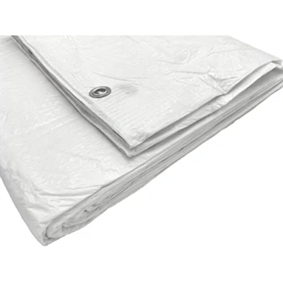Imagen de SKIR&#039;CO Lona blanca de 3 x m, impermeable, 55 g/m2, con ojales, lámina protectora para coche, multiusos