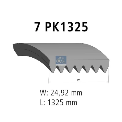 Imagen de Correa trapecial poli V DT SPARE PARTS 7.54807