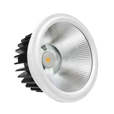Imagen de Silamp Downlight Foco empotrable LED 20 W COB Redondo Color de iluminación: Blanco Neutro 4000 K 5500