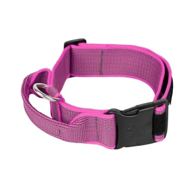 Imagen de Collar Color &amp; Gray con la manija, cerradura de seguridad y el remiendo intercambiables, 50 mm (49 70 cm), Rosa Gris
