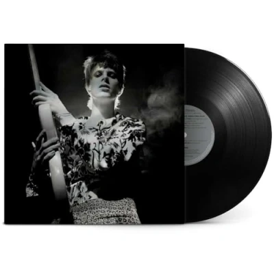 Imagen de Rock&#039;n Roll Star (LP) [Vinilo]