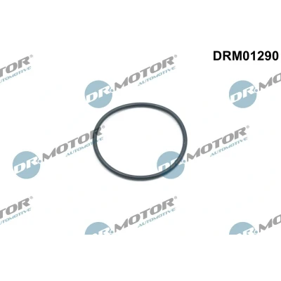 Imagen de DR.MOTOR AUTOMOTIVE DRM01290 Anillo obturador, tensor cadena distribución