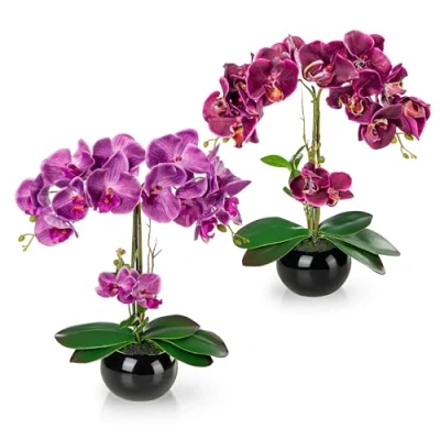 Imagen de PASCH® Juego de 2 Orquídeas artificiales en macetas cerámica brillante (40 cm) Flores maceta como reales