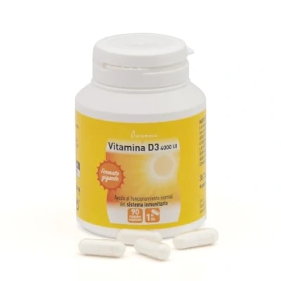 Imagen de PLAMECA Vitamina D3 4000 UI, Ayuda al Funcionamiento Normal del Sistema Inmunitario y Mantenimiento de los Huesos Dientes, Enriquecida con E, Formato Gigante 90 Cápsulas Vegetales
