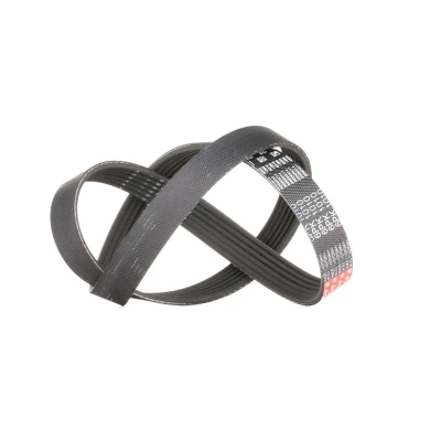Imagen de GATES 6PK1010 Correa trapecial poli V 1010 6 Poliéster, EPDM (Ethylen Propylen Dien Caucho) RoadMax Value Line PEUGEOT: 206 Hatchback, SW