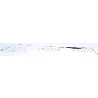 Imagen de TRISCAN 8150 29343 Latiguillos de Freno 163 M10x1 SEAT: Alhambra I, VOLKSWAGEN: Sharan I