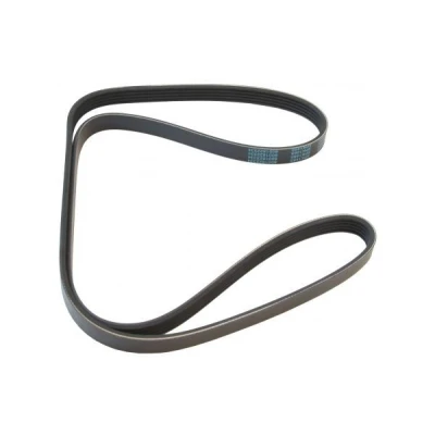Imagen de MAPCO 251465 Correa trapecial poli V 1465 5 RENAULT: 19 II Hatchback