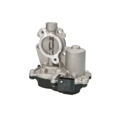 Imagen de Válvula EGR NRF 48717