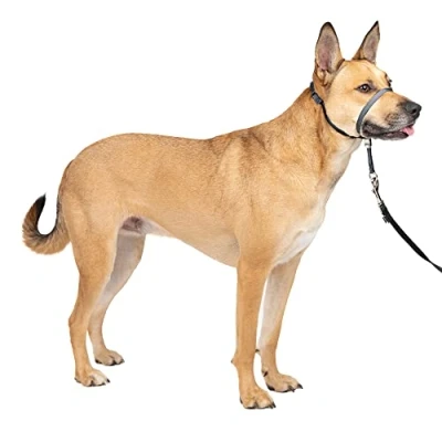 Imagen de PetSafe Gentle Leader Collar para la Cabeza de Perro sin tirones, solución definitiva Tirar, redirige los tirones tu Paseos más fáciles, te Ayuda a recuperar el Control,