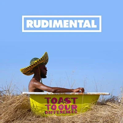 Imagen de Toast Our Differences [Vinilo]