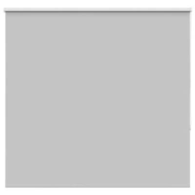 Imagen de vidaXL Estor Enrollable Opaco Gris Claro 165x175 cm Tela Ancho 161,6cm, día y Noche, de Cocina, Enrollable,