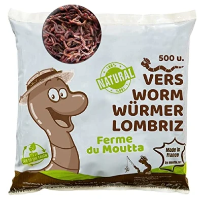 Imagen de Lombrices 250g (500 uds. Aprox.) Lombriz de Tierra vivas Eisenia, elabora Compost con Tus residuos orgánicos para vermicompostador/compostador/jardín