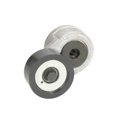 Imagen de SKF VKMCV 51021 Polea Tensora