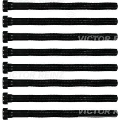 Imagen de REINZ 14 32196 01 Juego de Tornillos Culata dentado interior AUDI: Q5, A4 B7 Berlina, B6 Avant, VOLKSWAGEN: Passat B5 GP Touareg II