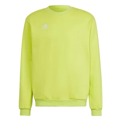 Imagen de adidas Entrada 22 Sweatshirt Sudadera, Team Semi Sol Yellow, M Hombre