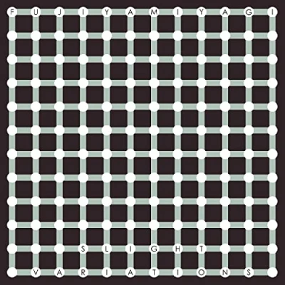 Imagen de Slight Variations [Vinilo]