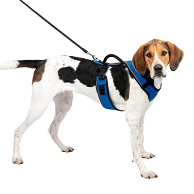 Imagen de PetSafe EasySport Arnés para Perros Acolchado Ajustable con Asa de Control y Cinta Reflectante Azul Grande, L
