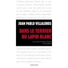 Imagen de Dans Le Terrier Du Lapin Blanc (ebook)