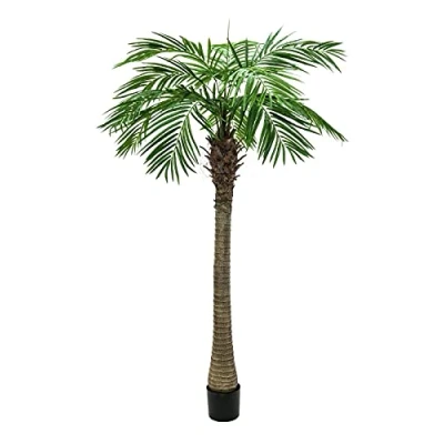 Imagen de Europalms 82510720 Phoenix Palm Tree Luxor, 150 cm, Multicolor, Talla única