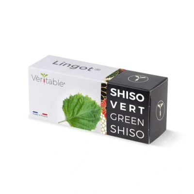 Imagen de Véritable Lingot® Shiso Verde Bio Compatible con Huerto di Interior Exky® Recarga Lista para Usar Sustrato Semillas integradas