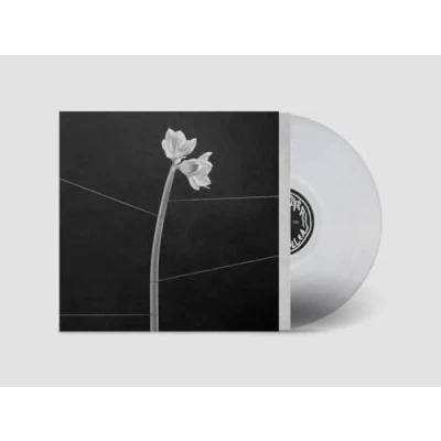 Imagen de Dreamweaver [Vinilo]
