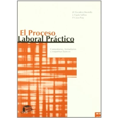 Imagen de El Proceso Laboral Practico: Comentarios Formularios Y Esquemas Basico