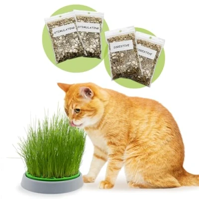 Imagen de R&amp;R SHOP Kit de Hierba gatera Double Seeds Maceta germinadora, 2 Tipos gatera, Estimulante y digestiva, 4 bolsitas Semillas sustrato, Apto para Todos los Gatos
