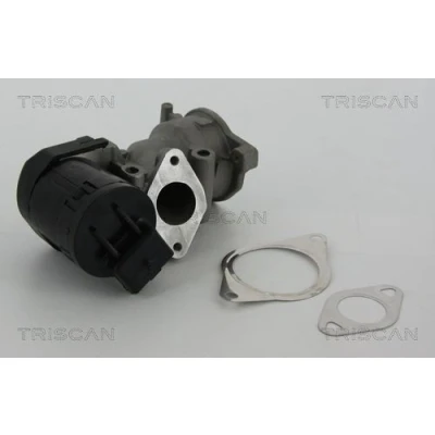 Imagen de TRISCAN 8813 10001 Válvula EGR eléctrico con juntas FORD: Focus 2, C Max, 2 Limousine, PEUGEOT: 407 Berlina, 307 SW, 308 I Hatchback