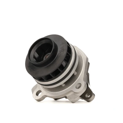 Imagen de SKF VKPC 86811 Bomba de agua con juntas Plástico para accionamiento correa poli V RENAULT: LAGUNA 2, MEGANE 3, SCENIC 3 norauto, oscaro, mister
