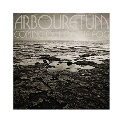 Imagen de Coming Out of the Fog [Vinilo]