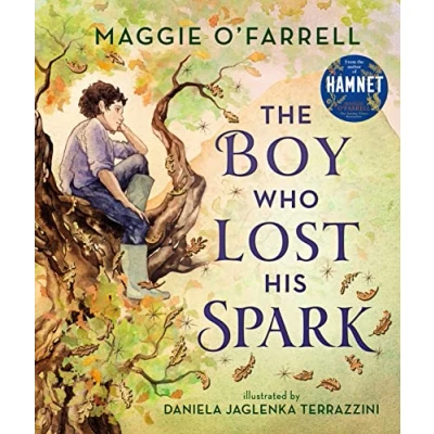 Imagen de The Boy Who Lost His Spark