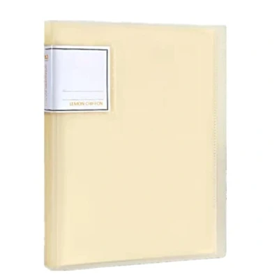 Imagen de LANKYBOX Carpeta de Almacenamiento Pintura Diamantes, protección Arte Diamantes A3, 30 Carpetas Transparentes para Pinturas x 40 cm o más pequeñas