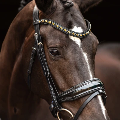 Imagen de HB Showtime Bridle Las Vegas
