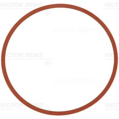 Imagen de REINZ 71 11403 00 Junta Colector de Admision FPM (caucho fluroado) BMW: 3 Touring, 1 Hatchback, 4 Gran Coupe, MINI: Countryman