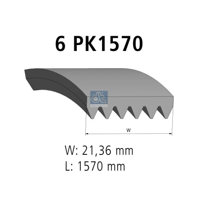 Imagen de Correa trapecial poli V DT SPARE PARTS 7.54805