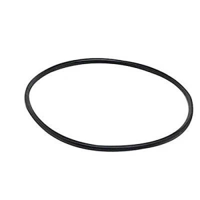 Imagen de Fluval Junta Tórica para los Filtros 104, 105, 106 y 204, 205, 206