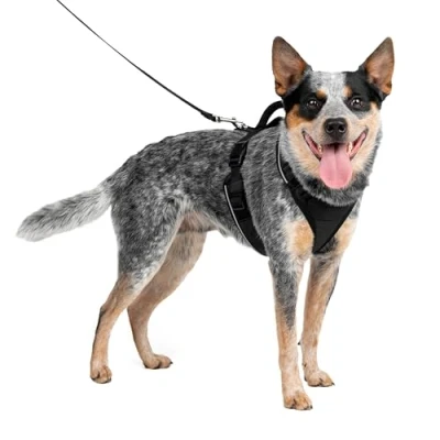 Imagen de PetSafe EasySport Arnés para Perros Acolchado Ajustable con Asa de Control y Cinta Reflectante Negro Mediano, M