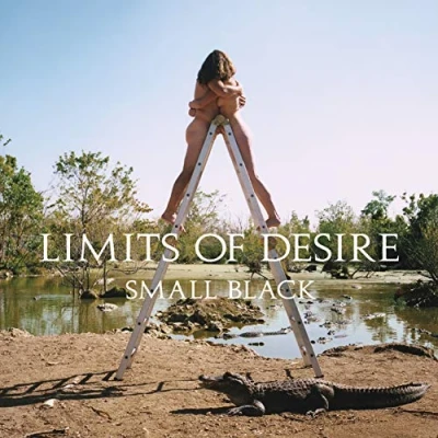 Imagen de Limits of Desire [Vinilo]